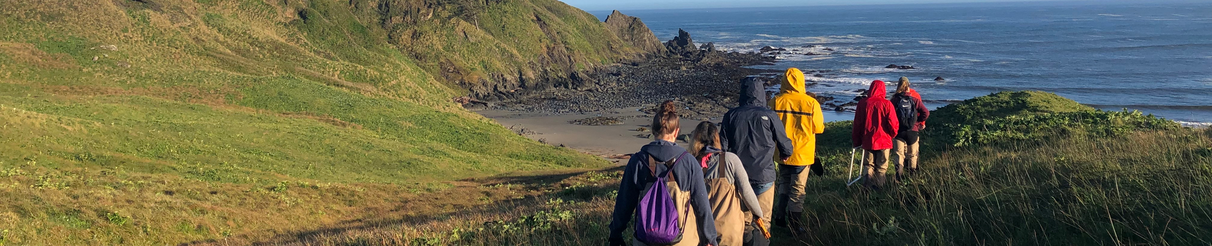 Students in the field